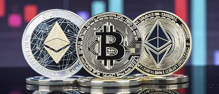 Cardine Modevo approfondimenti di mercato